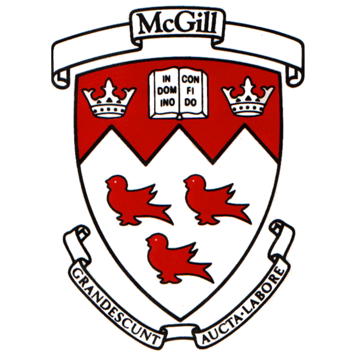 Imgi 130 Untitled Design 23 2